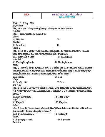 Đề luyện thi vào Lớp 10 môn Ngữ văn - Đề 6 (Có đáp án)
