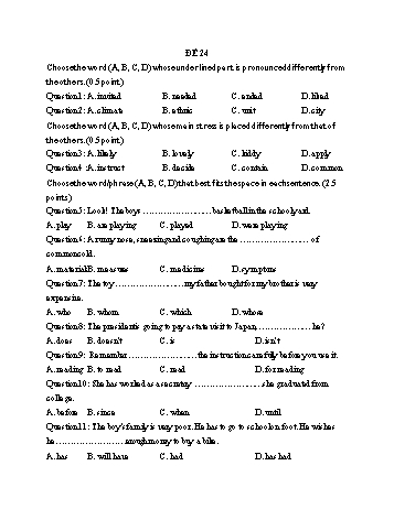 Đề thi vào Lớp 10 THPT môn Tiếng Anh - Đề 24