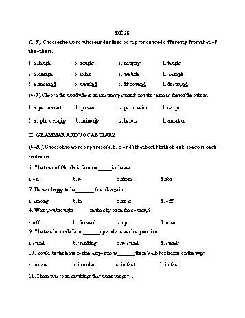 Đề thi vào Lớp 10 THPT môn Tiếng Anh - Đề 28 (Có đáp án)