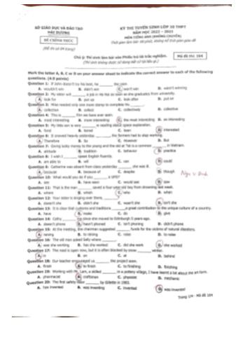 Kỳ thi tuyển sinh vào Lớp 10 THPT môn Tiếng Anh (Không chuyên) - Mã đề 104 - Năm học 2022-2023 - Sở GD&ĐT Hải Dương