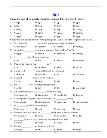 Đề luyện thi vào Lớp 10 môn Tiếng Anh - Đề 6 (Có đáp án)