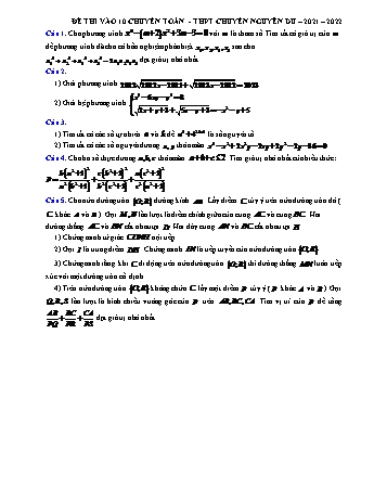 Đề thi vào Lớp 10 chuyên môn Toán - Năm học 2021-2022 - Trường THPT Nguyễn Du (Có lời giải)