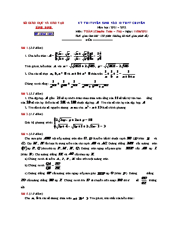 Kỳ thi tuyển sinh vào Lớp 10 THPT chuyên môn Toán (Chuyên Toán+Tin) - Năm học 2021-2022 - Sở GD&ĐT Bình Định (Có lời giải)