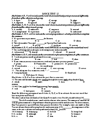 Đề thi thử vào Lớp 10 môn Tiếng Anh - Test 12 (Có đáp án)