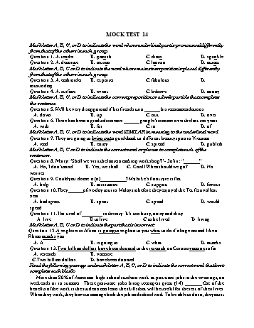 Đề thi thử vào Lớp 10 môn Tiếng Anh - Test 14 (Có đáp án)