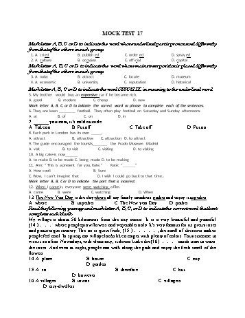 Đề thi thử vào Lớp 10 môn Tiếng Anh - Test 17 (Có đáp án)