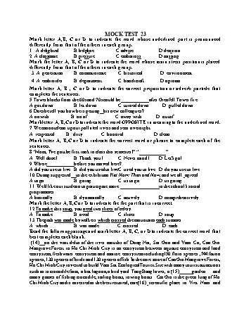 Đề thi thử vào Lớp 10 môn Tiếng Anh - Test 23 (Có đáp án)