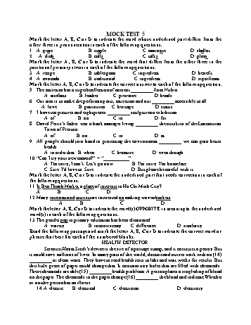 Đề thi thử vào Lớp 10 môn Tiếng Anh - Test 5 (Có đáp án)