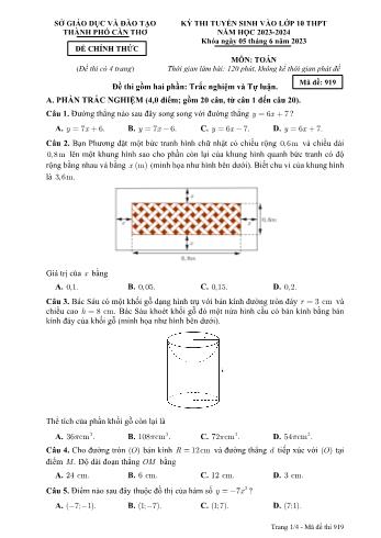 Kỳ thi tuyển sinh vào Lớp 10 THPT môn Toán - Mã đề 919 - Năm học 2023-2024 - Sở GD&ĐT Cần Thơ